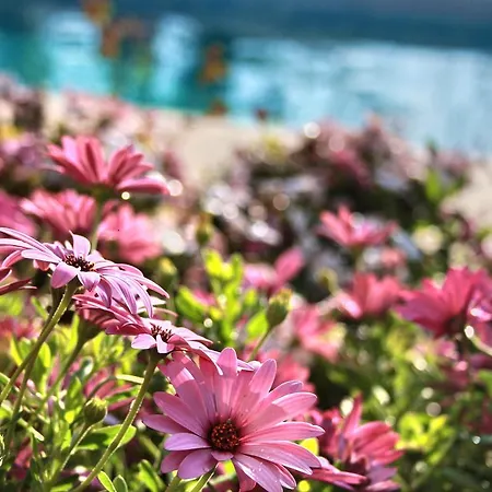 Villa Paradise *