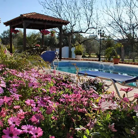 Villa Paradise