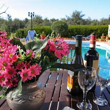 Villa Paradise Paphos