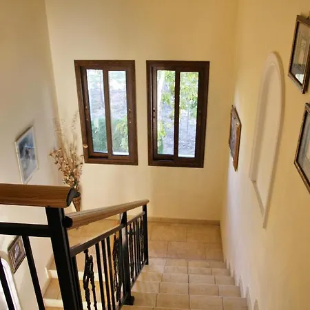 Paradise * Пафос