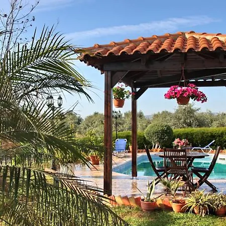 Paradise * פאפוס